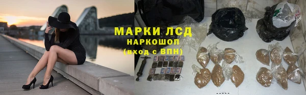 ПСИЛОЦИБИНОВЫЕ ГРИБЫ Баксан