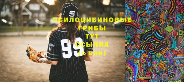 ПСИЛОЦИБИНОВЫЕ ГРИБЫ Баксан