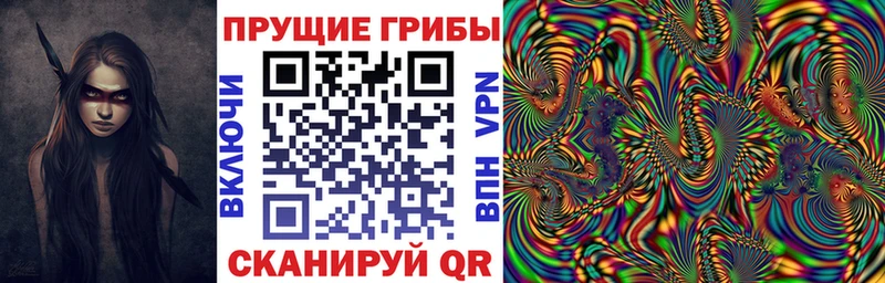 Псилоцибиновые грибы Cubensis  магазин продажи   Бийск 